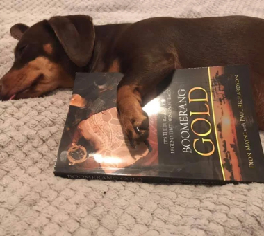 Boomerang Gold hugged by adorable dog by Dion Mayne Award-winning Historical Fiction Author